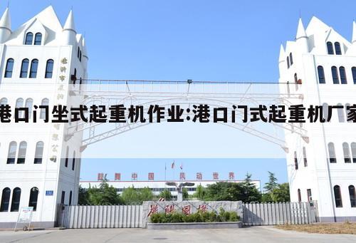 港口門坐式起重機作業(yè):港口門式起重機廠家 