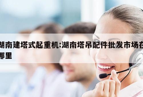 湖南建塔式起重機(jī):湖南塔吊配件批發(fā)市場在哪里 