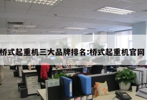 橋式起重機(jī)三大品牌排名:橋式起重機(jī)官網(wǎng) 
