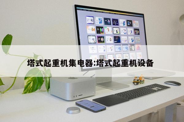 塔式起重機(jī)集電器:塔式起重機(jī)設(shè)備 