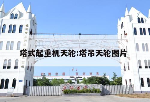塔式起重機天輪:塔吊天輪圖片 